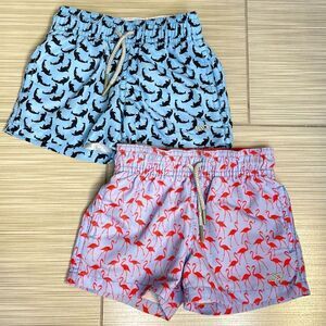 Le Club Original Toddler Boy Swim Trunks (set of 2) Dolphin and flamingo print